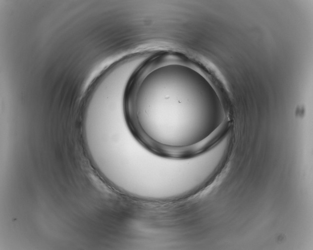 X0000092010973200709061529
