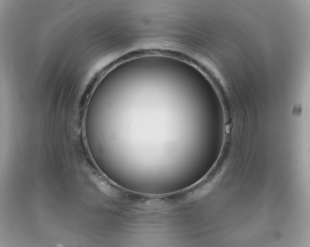 X0000092010974200709061529