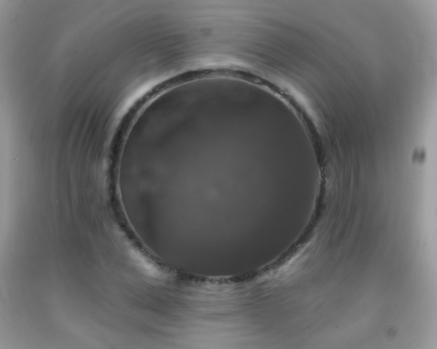X0000092010975200709061529