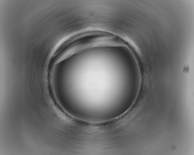 X0000092010976200709061529