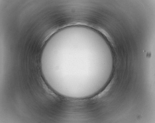 X0000092010977200709061529