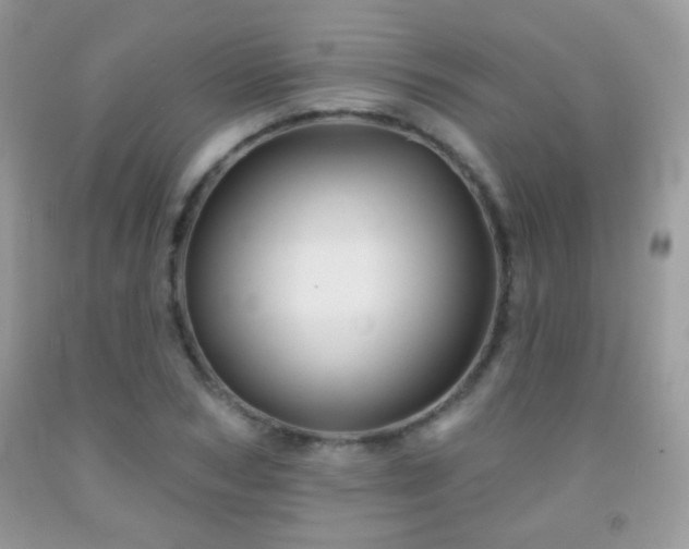 X0000092010978200709061529