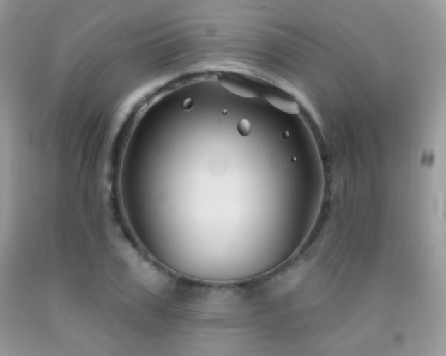 X0000092010979200709061529