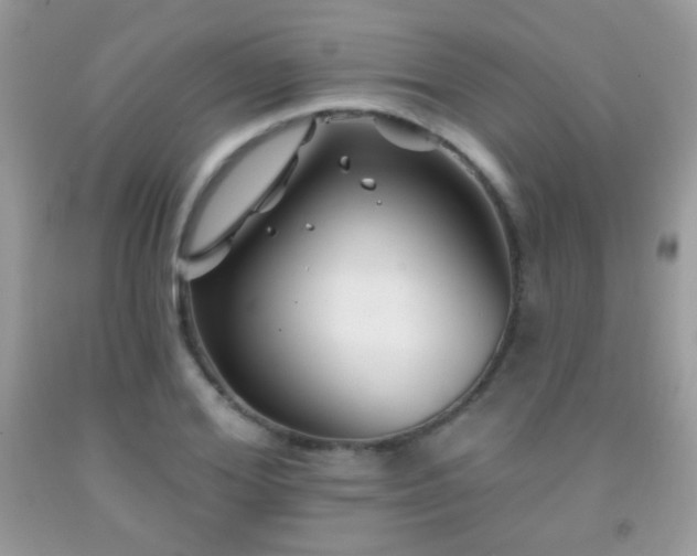 X0000092010980200709061528