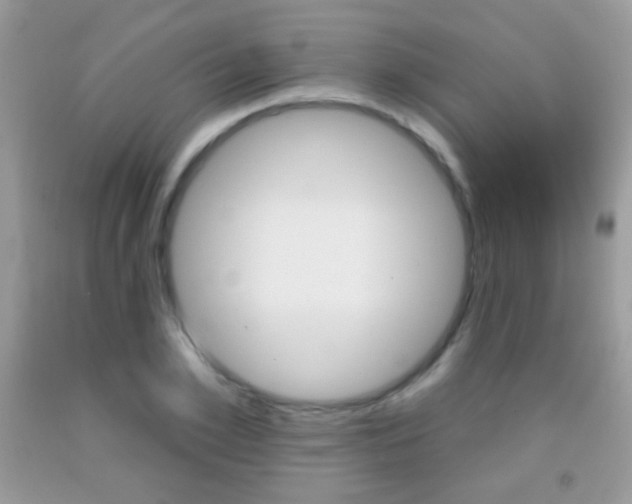 X0000092010981200709061528