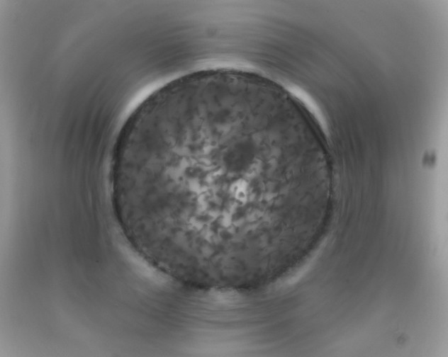 X0000092010983200709061528