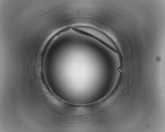 X0000092010984200709061528