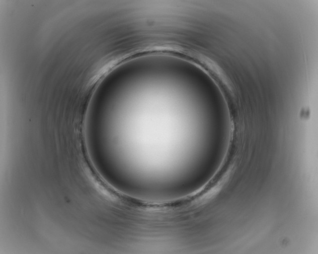 X0000092010985200709061528