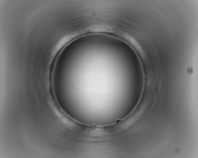 X0000092010986200709061528