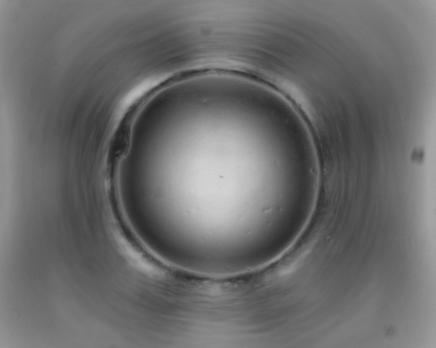 X0000092010987200709061528