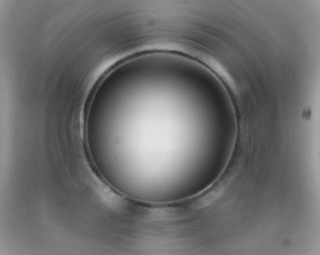 X0000092010988200709061528