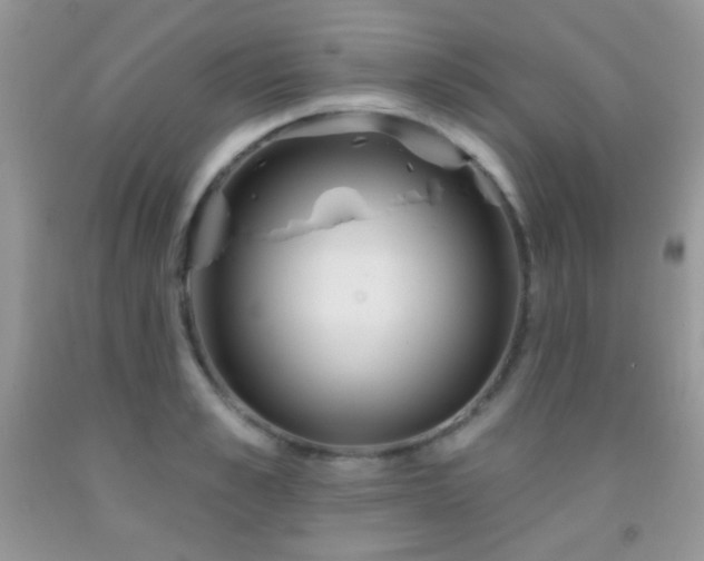 X0000092010989200709061528