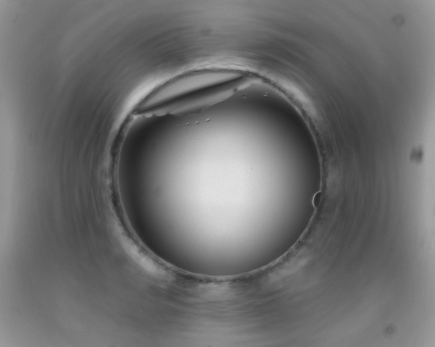 X0000092010990200709061528
