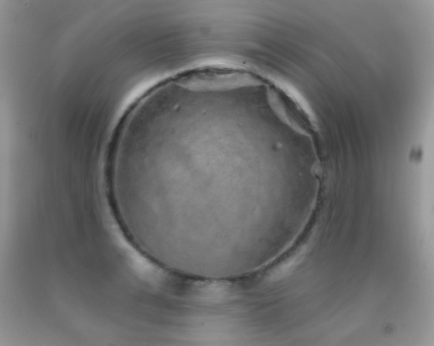 X0000092010991200709061528
