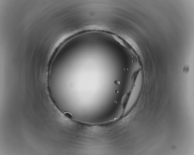 X0000092010992200709061528