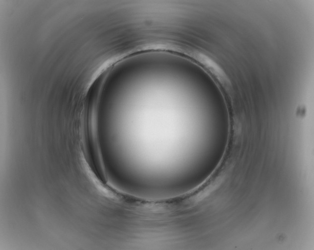 X0000092010993200709061528