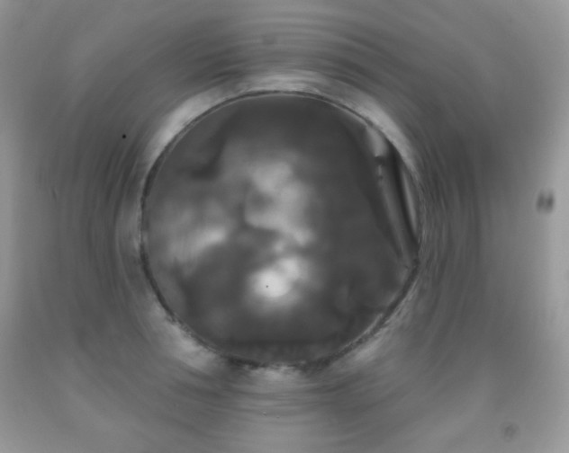 X0000092010994200709061528