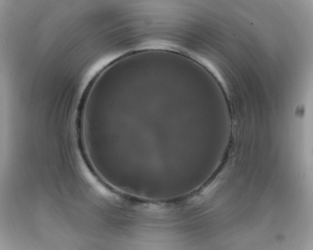 X0000092010995200709061528