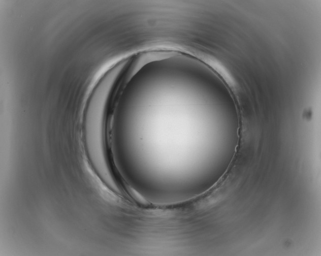 X0000092010996200709061528