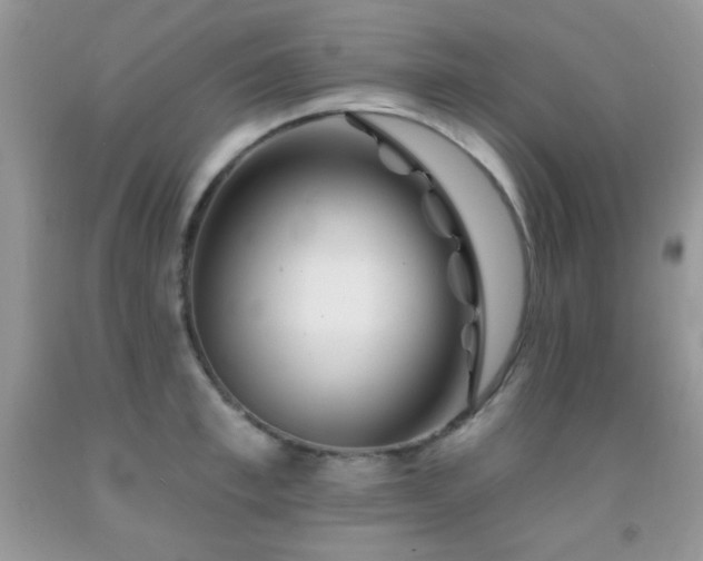 X0000092010997200709061528