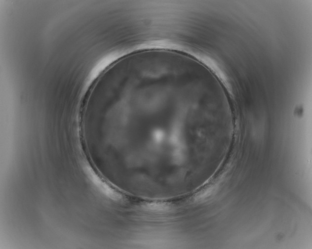 X0000092010998200709061528