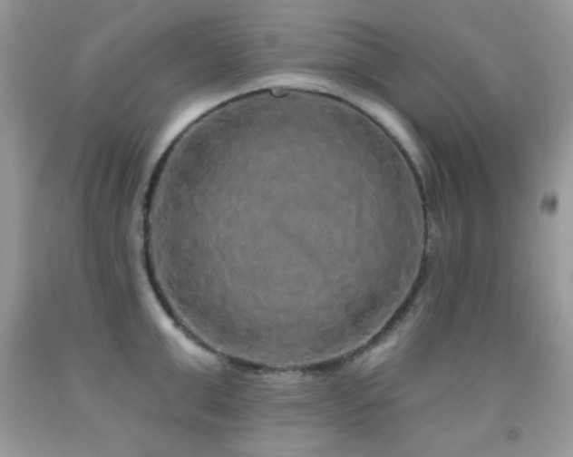 X0000092010999200709061528