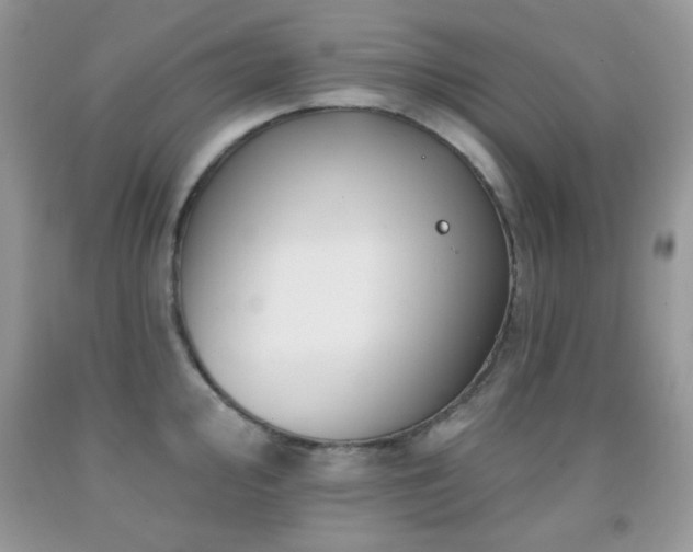 X0000092011000200709061528
