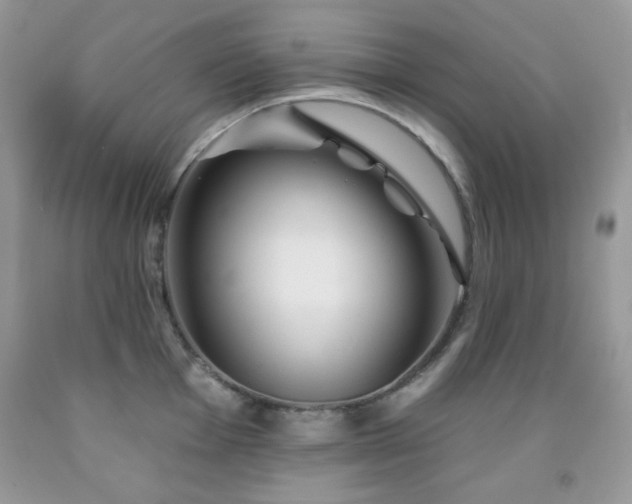 X0000092011001200709061528