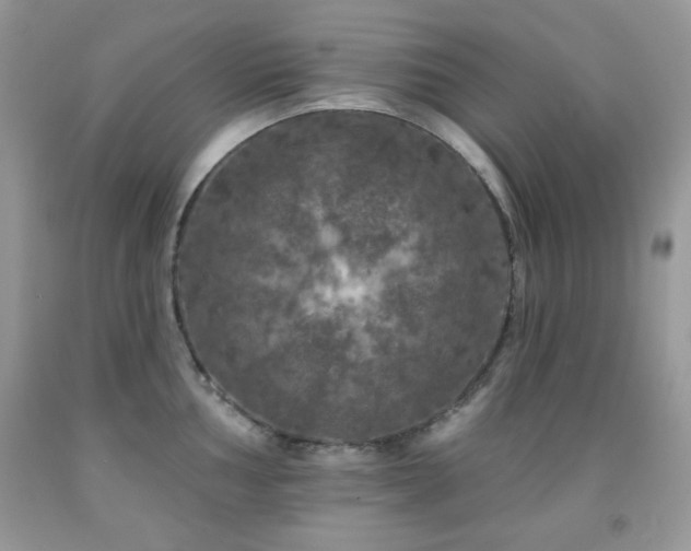 X0000092011002200709061528