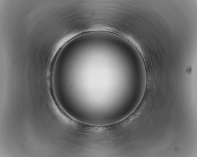 X0000092011003200709061528