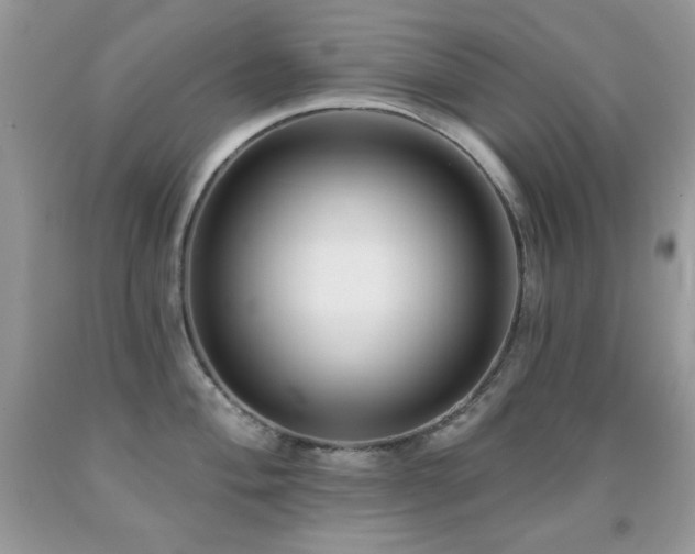 X0000092011004200709061528