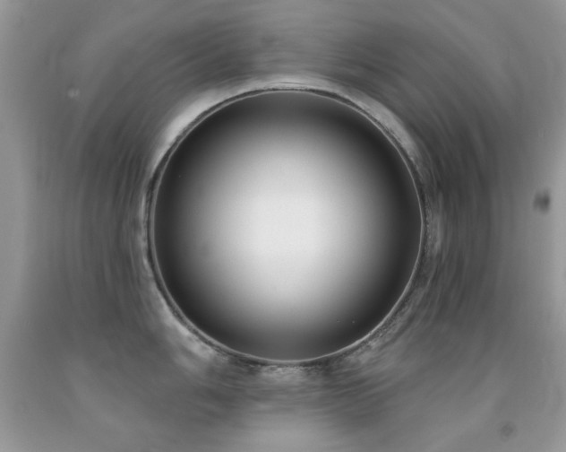 X0000092011006200709061528