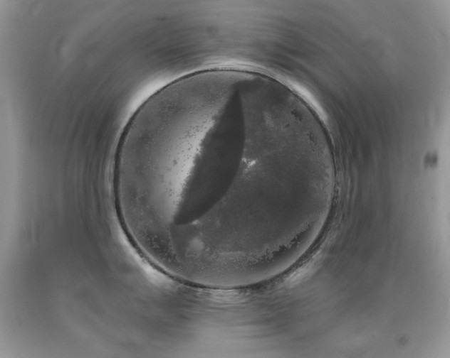 X0000092011007200709061528