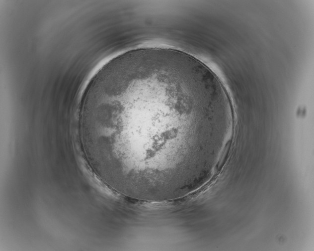 X0000092011008200709061528
