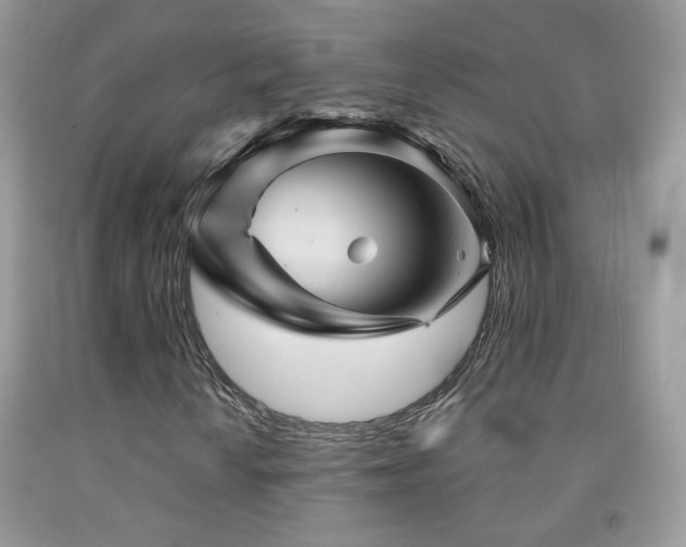 X0000092011010200709061528