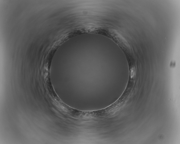 X0000092011011200709061528