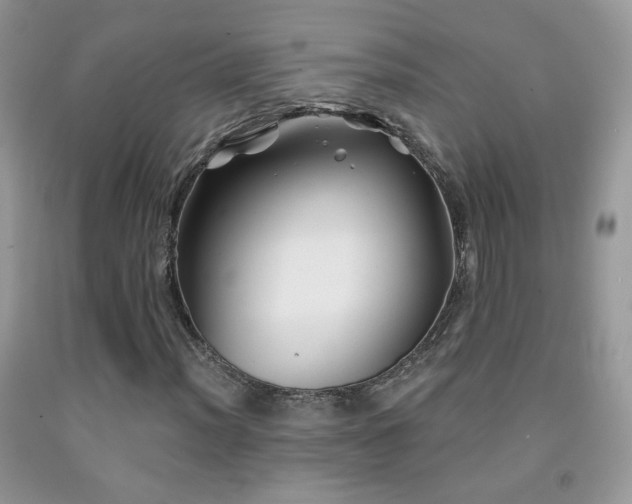 X0000092011012200709061528
