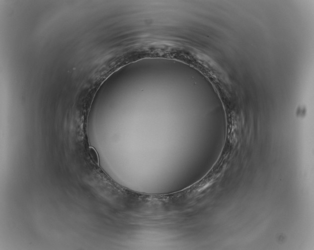 X0000092011013200709061528