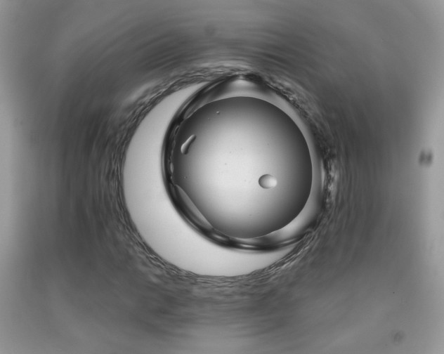 X0000092011014200709061528