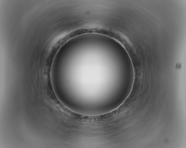 X0000092011016200709061528