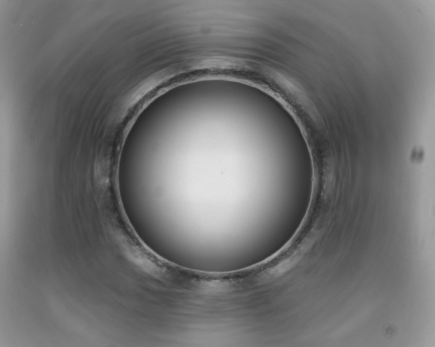 X0000092011017200709061528