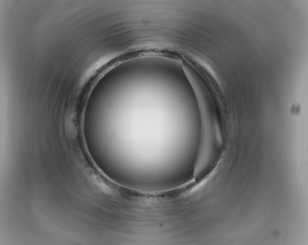 X0000092011018200709061528