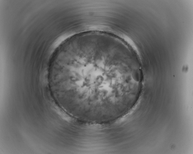 X0000092011019200709061528