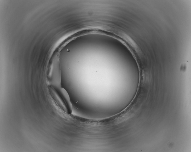 X0000092011020200709061528
