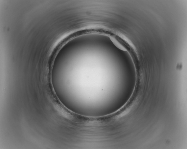 X0000092011021200709061528