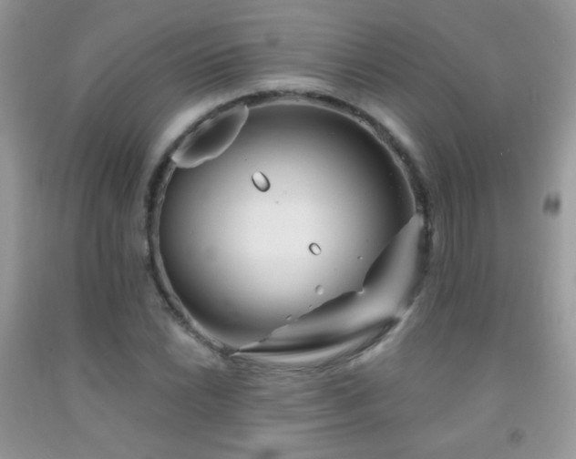 X0000092011022200709061528