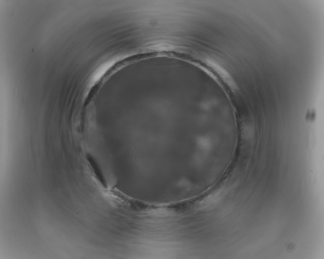 X0000092011023200709061528