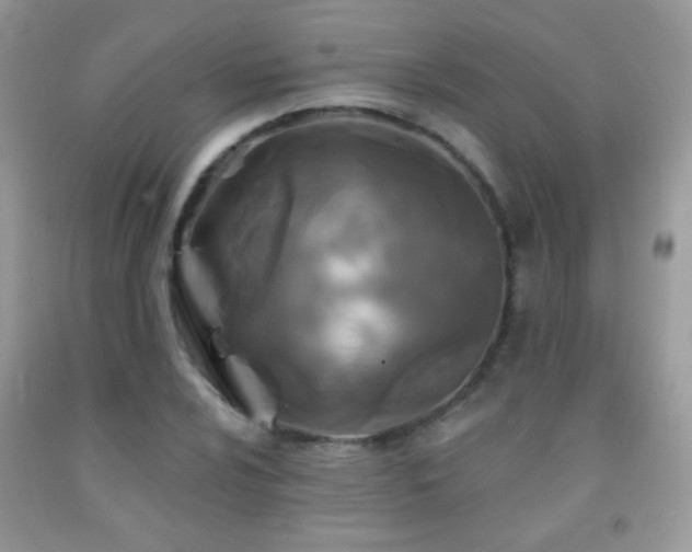 X0000092011024200709061528
