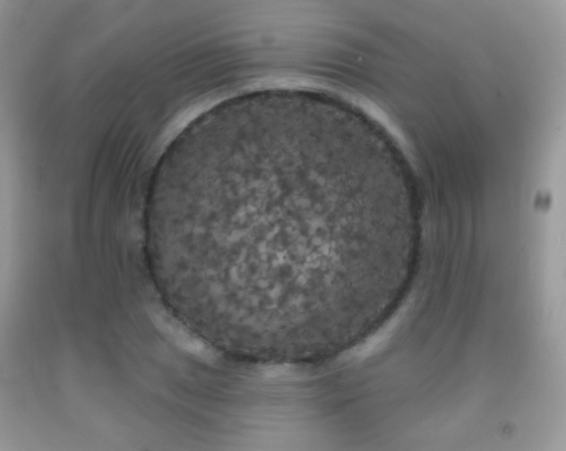 X0000092011025200709061528