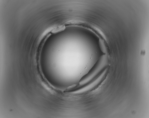 X0000092011026200709061528